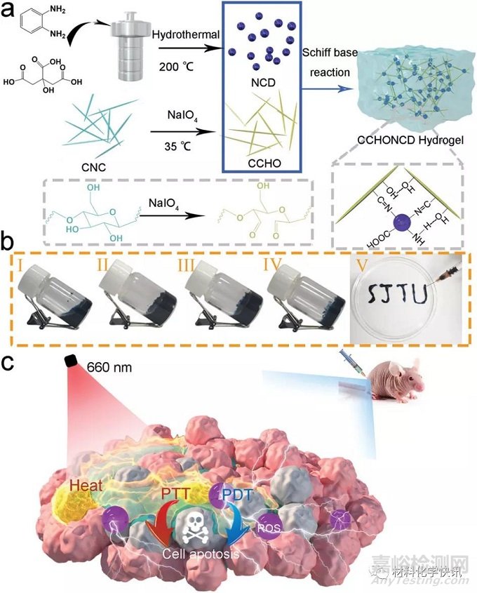 纖維素基水凝膠材料制備方法、應用領域及發(fā)展方向