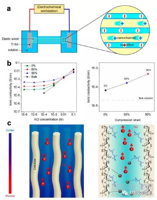 纖維素基水凝膠材料制備方法、應用領域及發(fā)展方向