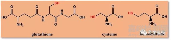 生物基質(zhì)中穩(wěn)定性研究那些事