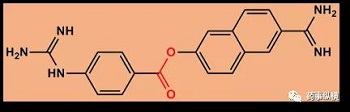 生物基質(zhì)中穩(wěn)定性研究那些事