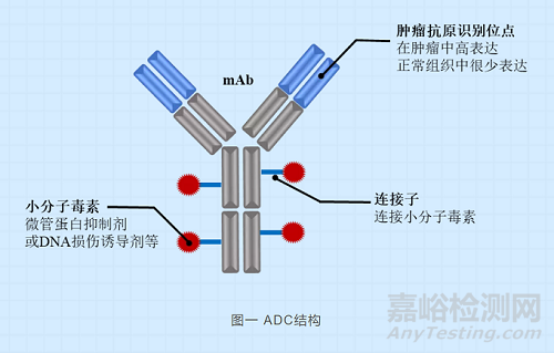 抗體偶聯(lián)藥物的生物分析策略