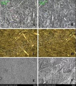 汽車碳罐爆破失效分析案例