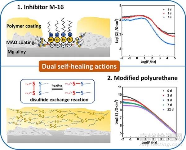 鎂合金雙重自修復(fù)腐蝕防護(hù)涂層研究獲進(jìn)展