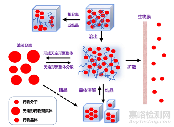 固體分散體增溶原理與方法研究