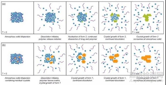 固體分散體增溶原理與方法研究