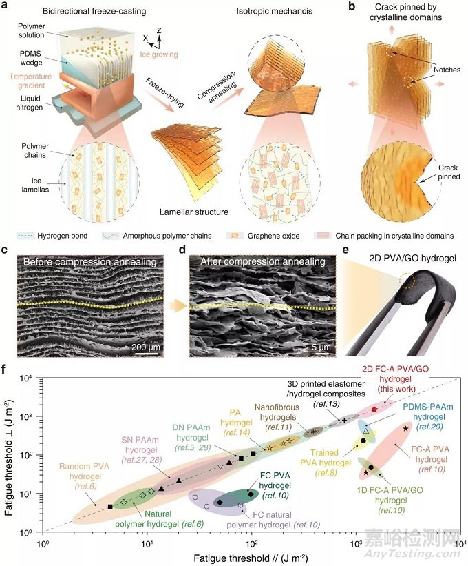 南科大劉吉團(tuán)隊(duì)《Adv. Mater.》：仿生二維抗疲勞水凝膠