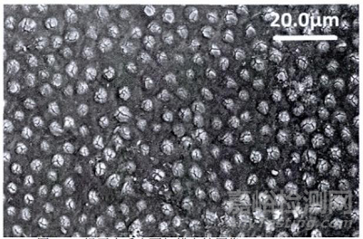 牙科脫敏劑注冊(cè)審查指導(dǎo)原則正式發(fā)布（附全文）