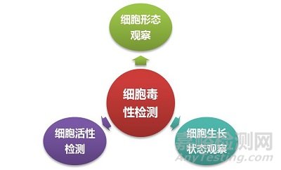 體外細(xì)胞毒性試驗(yàn)標(biāo)準(zhǔn)、關(guān)鍵點(diǎn)及影響因素