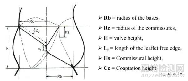 Optimum TAV:“天然主動(dòng)脈瓣”獲CE批準(zhǔn)進(jìn)行臨床試驗(yàn)