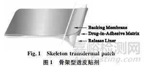國(guó)內(nèi)外透皮貼劑申報(bào)上市進(jìn)展及藥學(xué)研究探討