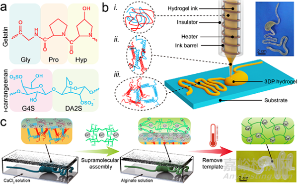仿真濕滑水凝膠器官模型研究取得進(jìn)展