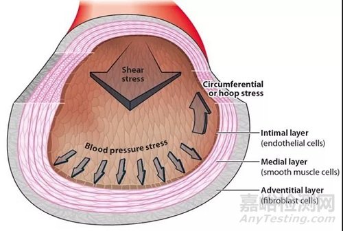 人工血管常用材料及制作技術(shù)