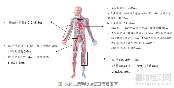人工血管常用材料及制作技術(shù)