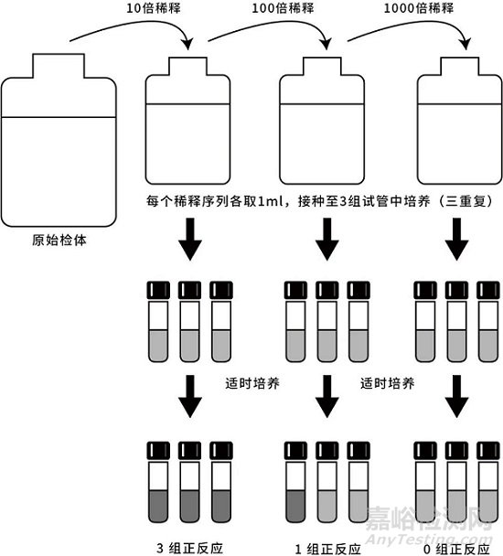 微生物檢測項目常用計量單位CFU 與 MPN 的差異