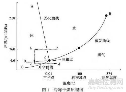 凍干技術(shù)的原理、工藝過程及常見問題