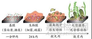 水凝膠防污材料的表征方法