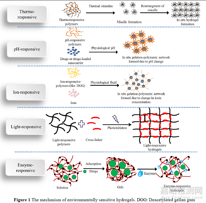 環(huán)境敏感型水凝膠在藥物遞送中的應用