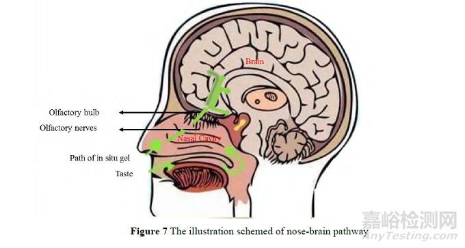 環(huán)境敏感型水凝膠在藥物遞送中的應用