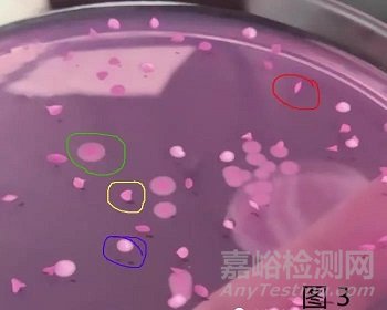 霉菌和酵母檢測怎么鑒定？標準方法與快檢有哪些不同？