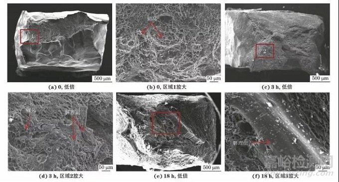 氫對鑄態(tài)Mg-14Li合金表面形貌和力學性能的影響
