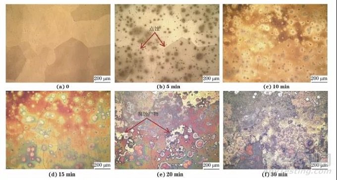 氫對鑄態(tài)Mg-14Li合金表面形貌和力學性能的影響