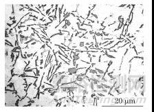 金相樣品制備影響因素及金相制樣實例