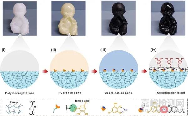 濕黏附軟物質(zhì)材料研究取得進(jìn)展
