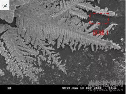 電阻表面的電化學遷移失效分析及防護