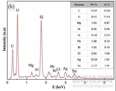 電阻表面的電化學遷移失效分析及防護