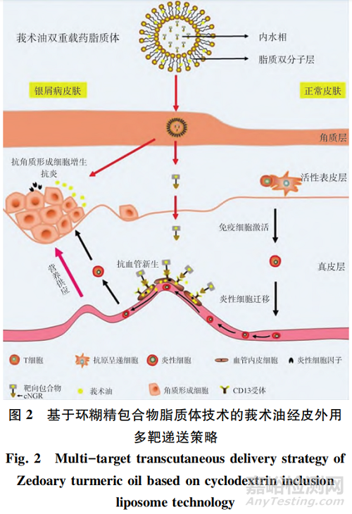 中藥外用制劑研究概述與展望