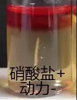 產(chǎn)氣莢膜梭菌檢驗注意事項