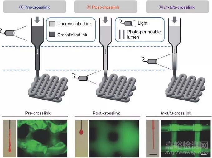 光固化3D生物打印技術(shù)的新進展