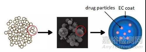 乙基纖維素的理化性質(zhì)與藥學(xué)特性