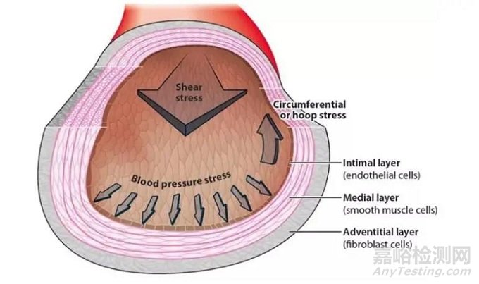 中美人工血管新產(chǎn)品與新技術(shù)