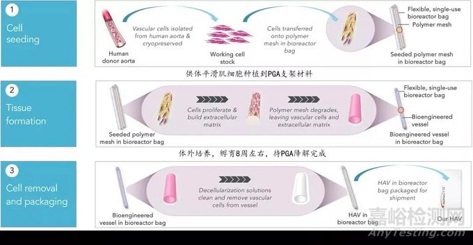 中美人工血管新產(chǎn)品與新技術(shù)