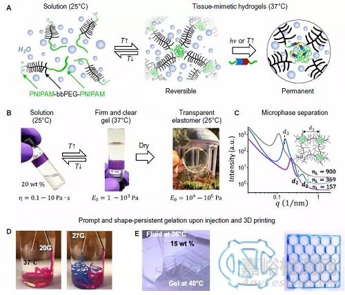 類超軟組織可注射水凝膠