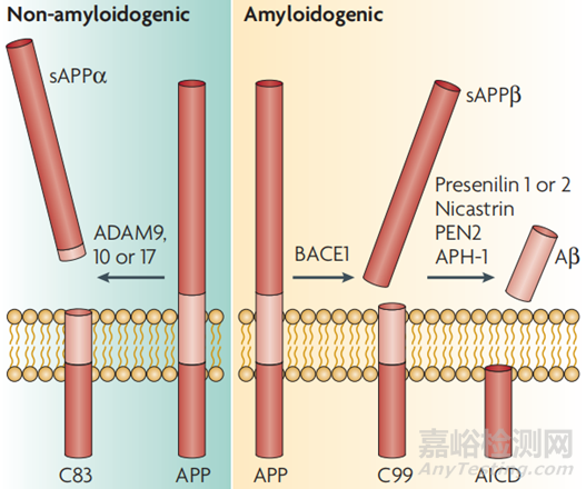 阿爾茲海默癥：發(fā)病機(jī)制及全球藥物研發(fā)現(xiàn)狀盤點(diǎn)