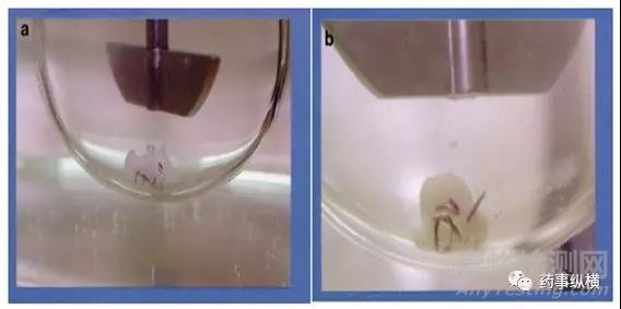 明膠膠囊交聯(lián)問題的研究思路