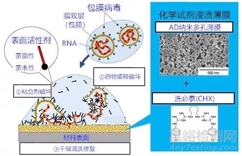 新型抗病毒涂層技術(shù)