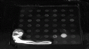 機(jī)器人領(lǐng)域十項(xiàng)前沿技術(shù)