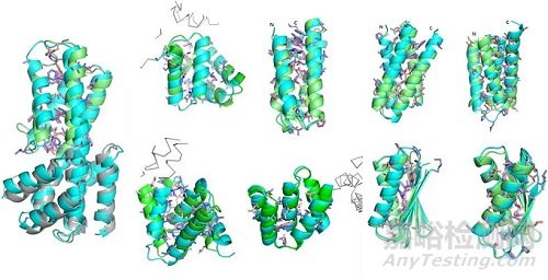 最新《自然》：人工設(shè)計蛋白質(zhì)，中科大團(tuán)隊開辟全新路線