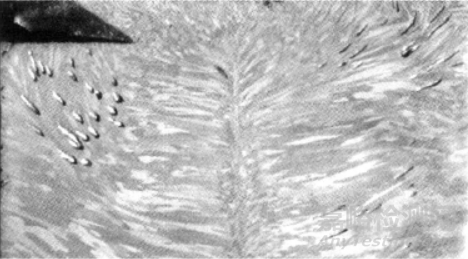 金屬材料質(zhì)量與缺陷介紹