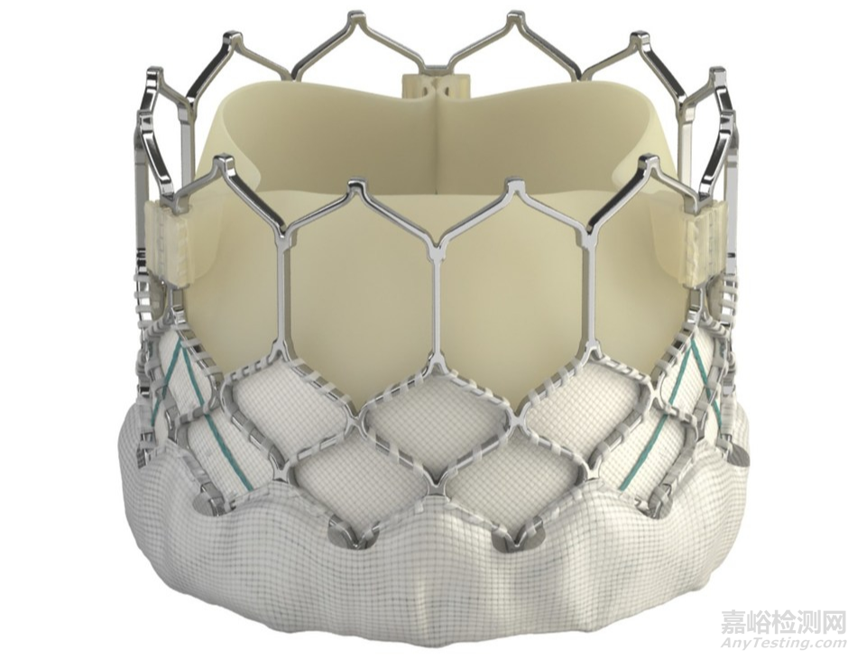 心臟瓣膜介入醫(yī)療器械專利分析報告