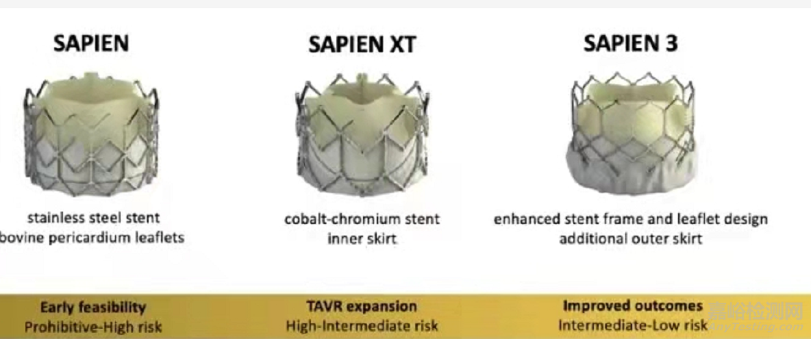 心臟瓣膜介入醫(yī)療器械專利分析報告