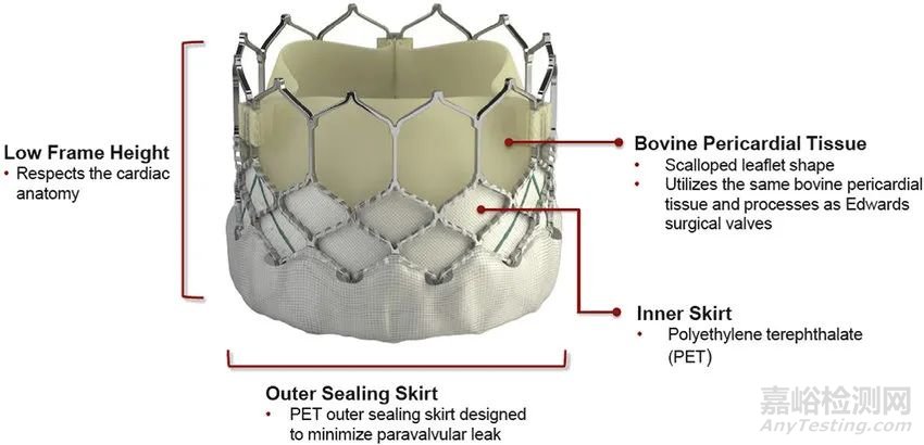 心臟瓣膜介入醫(yī)療器械專利分析報告