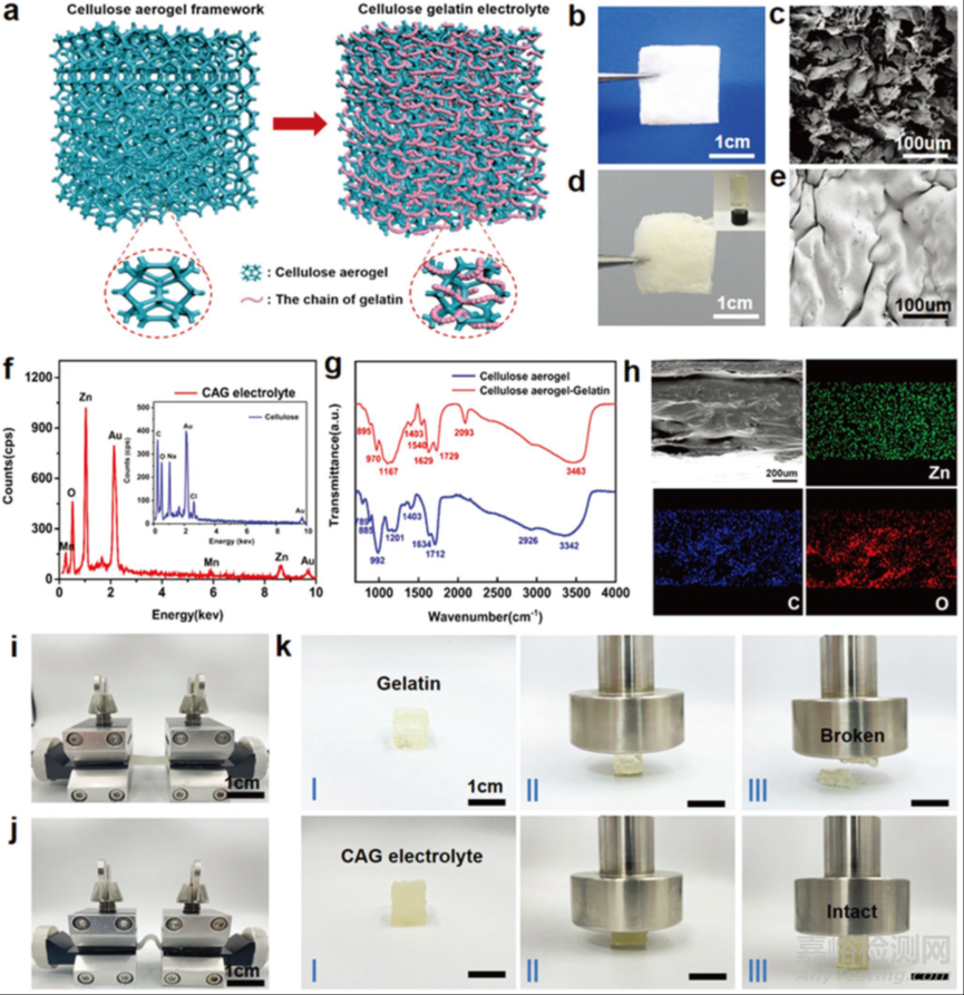 用于可植入和可生物降解鋅離子電池的纖維素氣凝膠-明膠固態(tài)電解質(zhì)