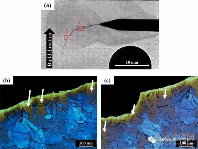 《Acta Materialia》綜述：增材制造金屬的斷裂與疲勞！