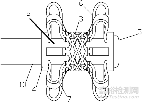 樂普全降解封堵器專利分析報告