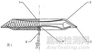 樂普全降解封堵器專利分析報告