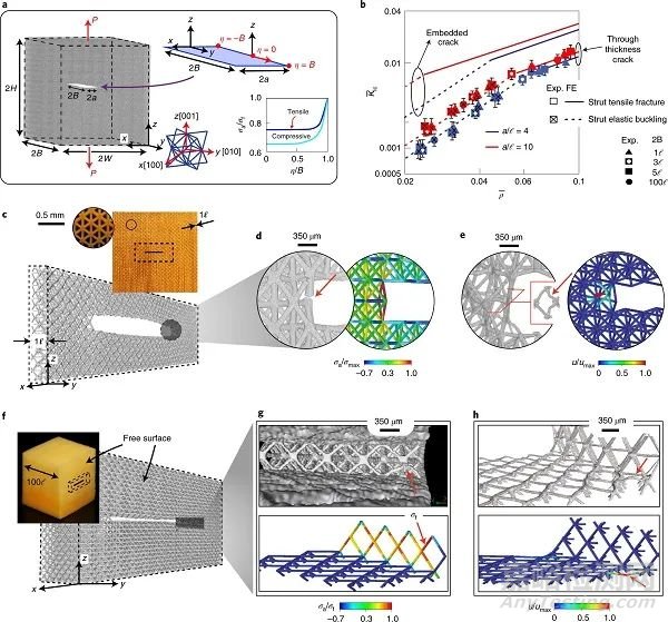 Nat. Mater:硬質(zhì)超材料的設(shè)計準(zhǔn)則